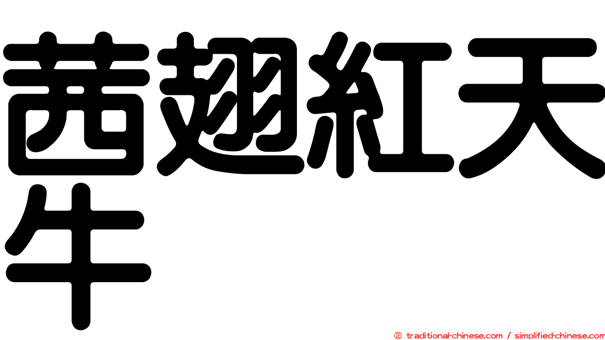 茜翅紅天牛