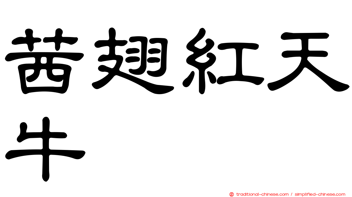 茜翅紅天牛