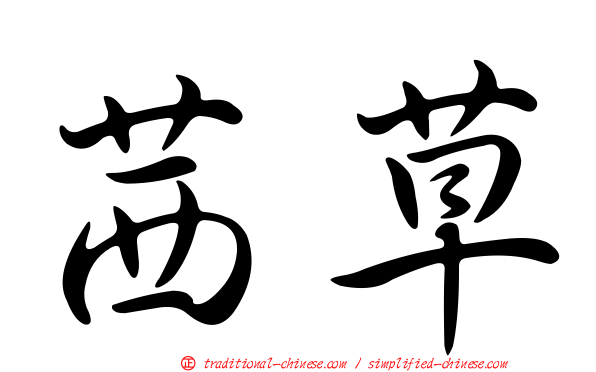 茜草