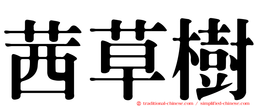 茜草樹