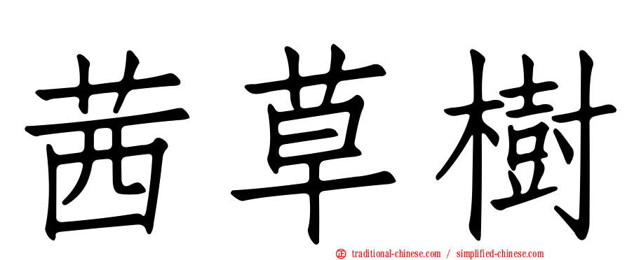 茜草樹