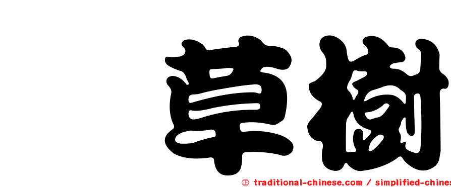 茜草樹