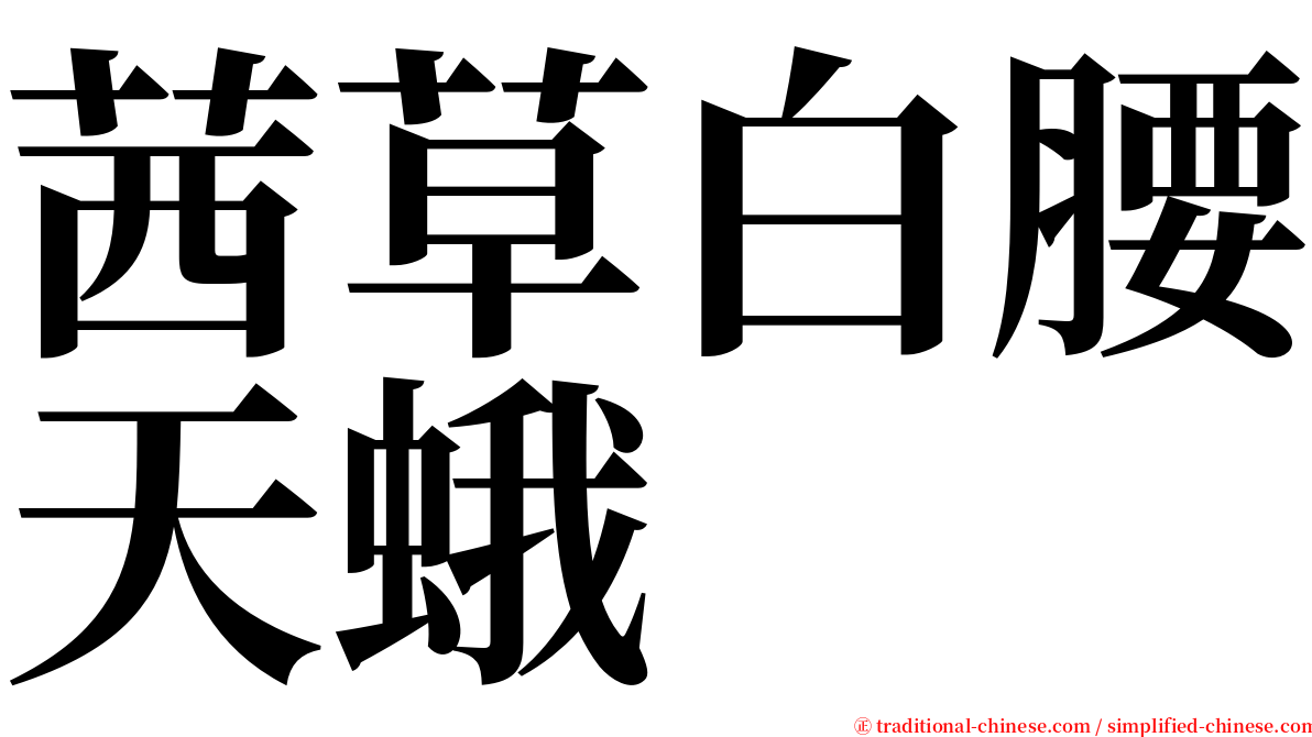 茜草白腰天蛾 serif font