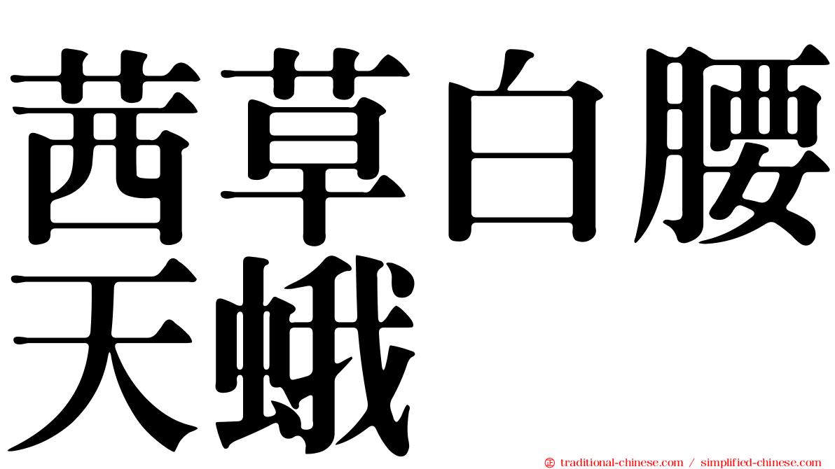 茜草白腰天蛾