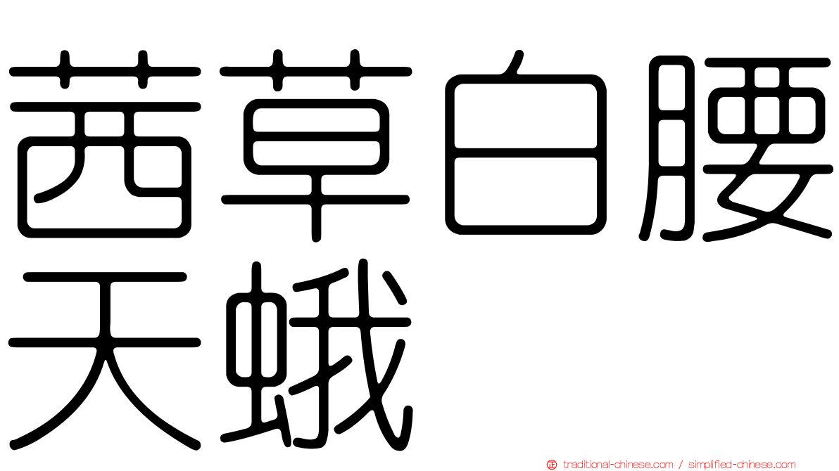茜草白腰天蛾