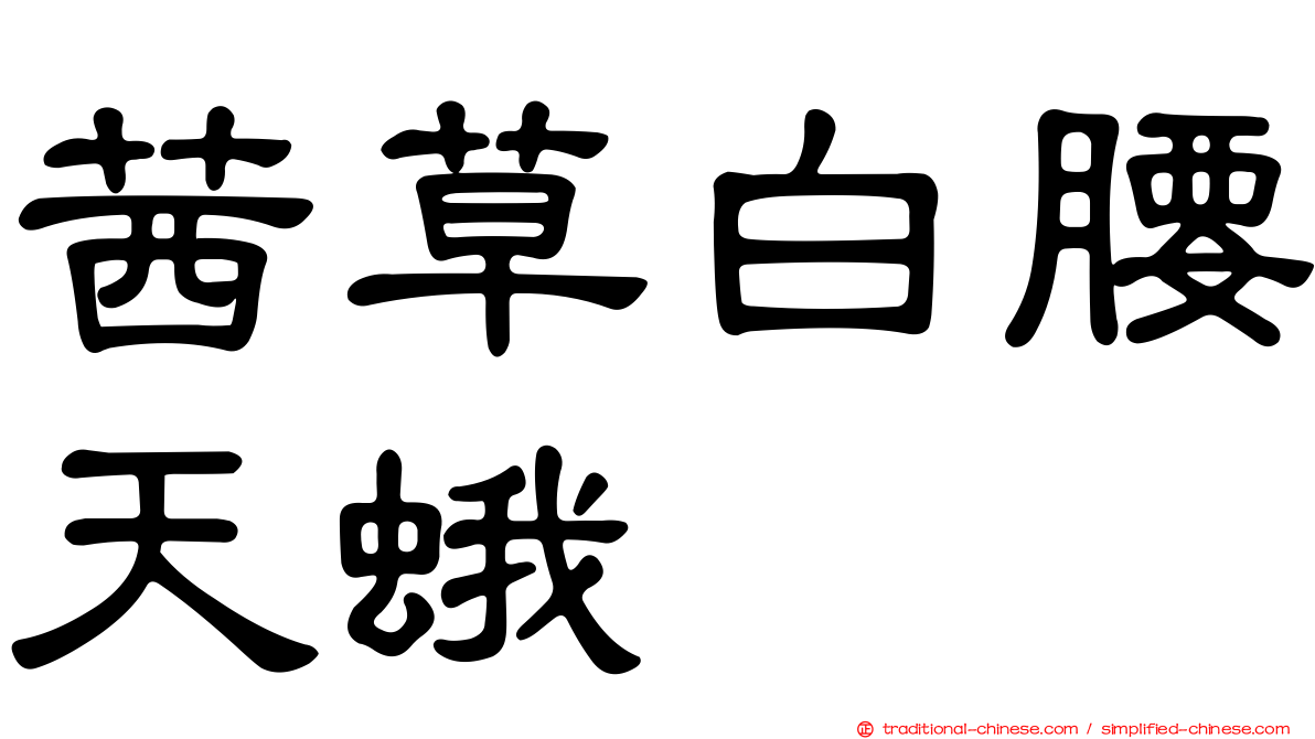 茜草白腰天蛾
