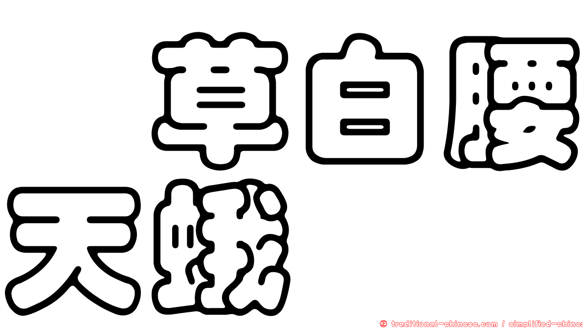 茜草白腰天蛾