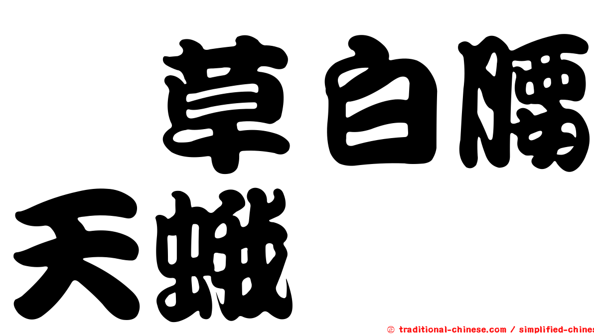 茜草白腰天蛾
