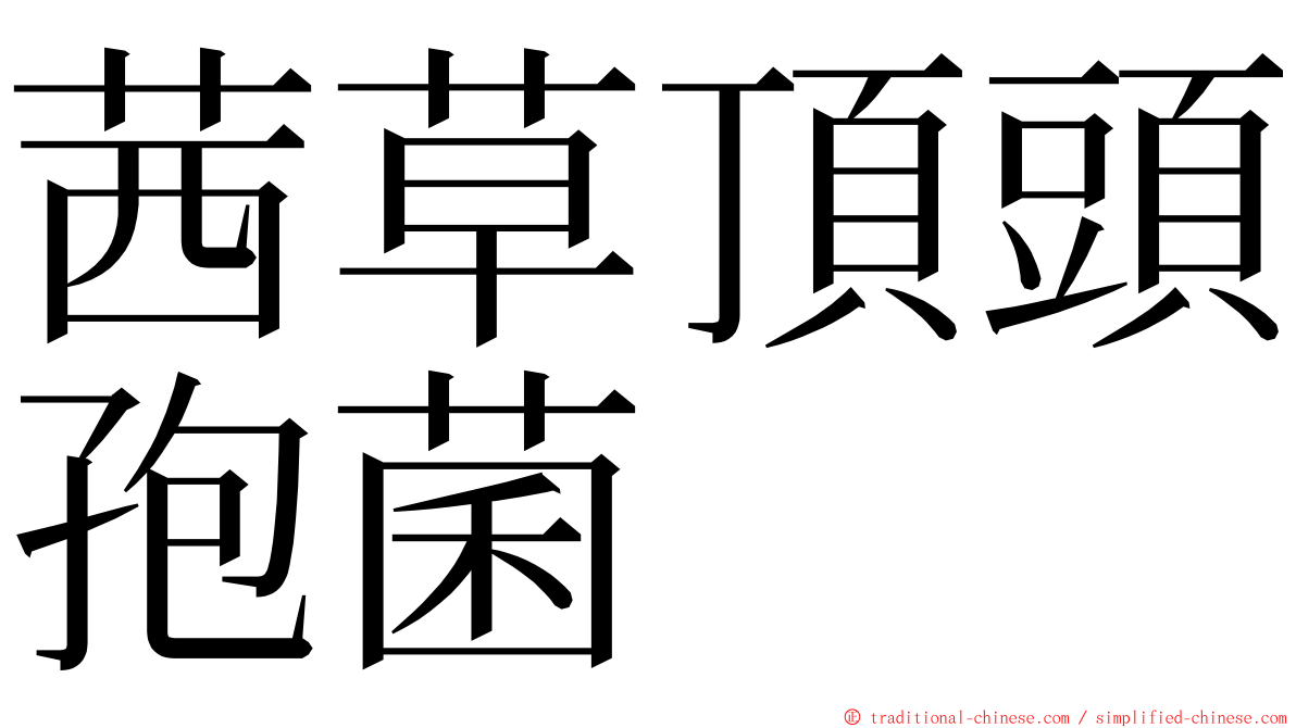 茜草頂頭孢菌 ming font