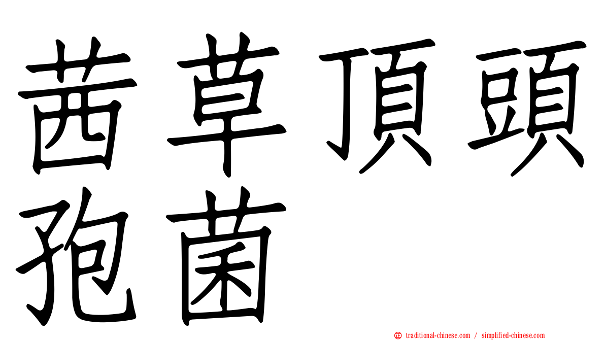 茜草頂頭孢菌