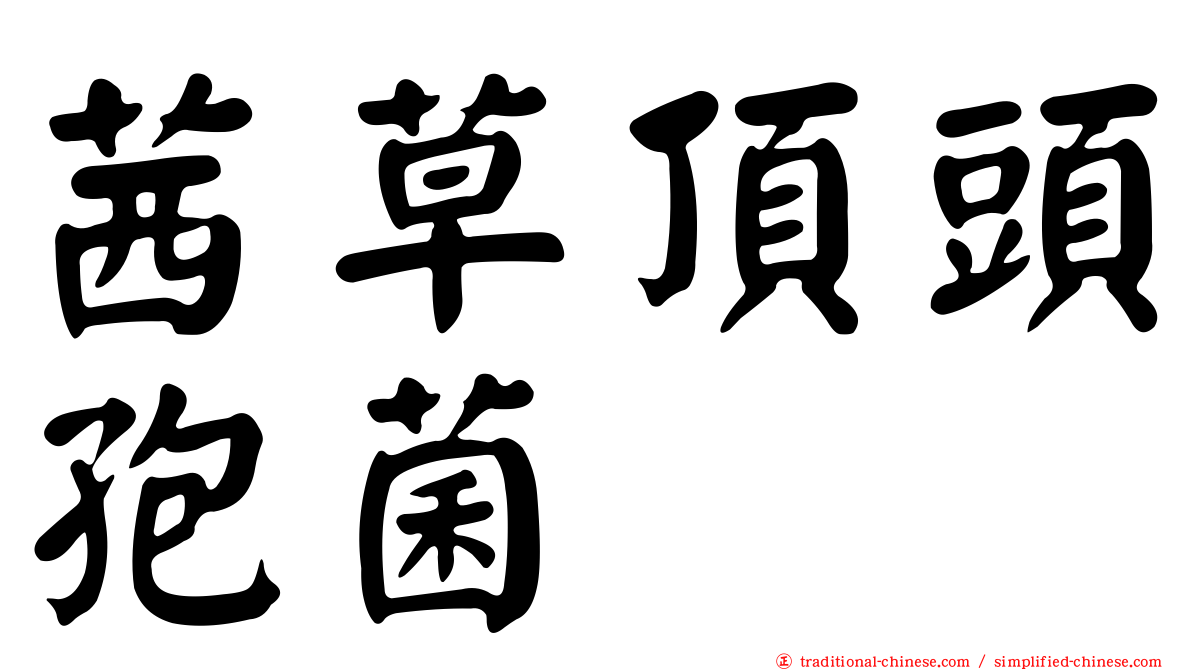 茜草頂頭孢菌