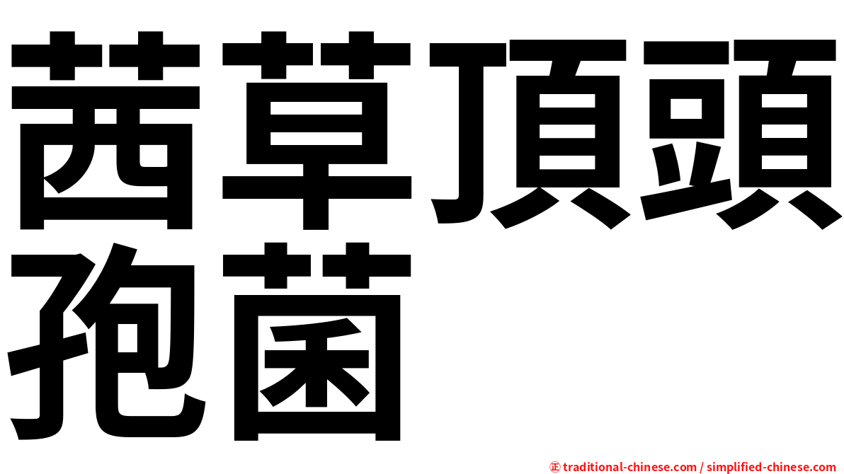 茜草頂頭孢菌