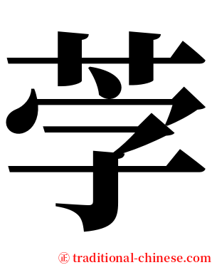 茡 serif font