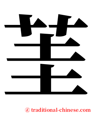 茥 serif font