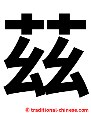 茲