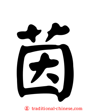 茵