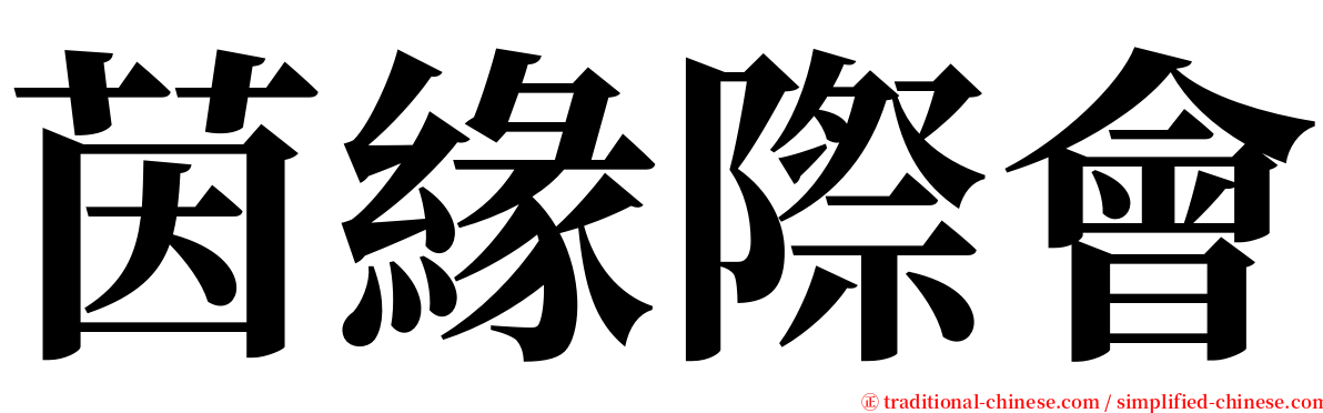 茵緣際會 serif font
