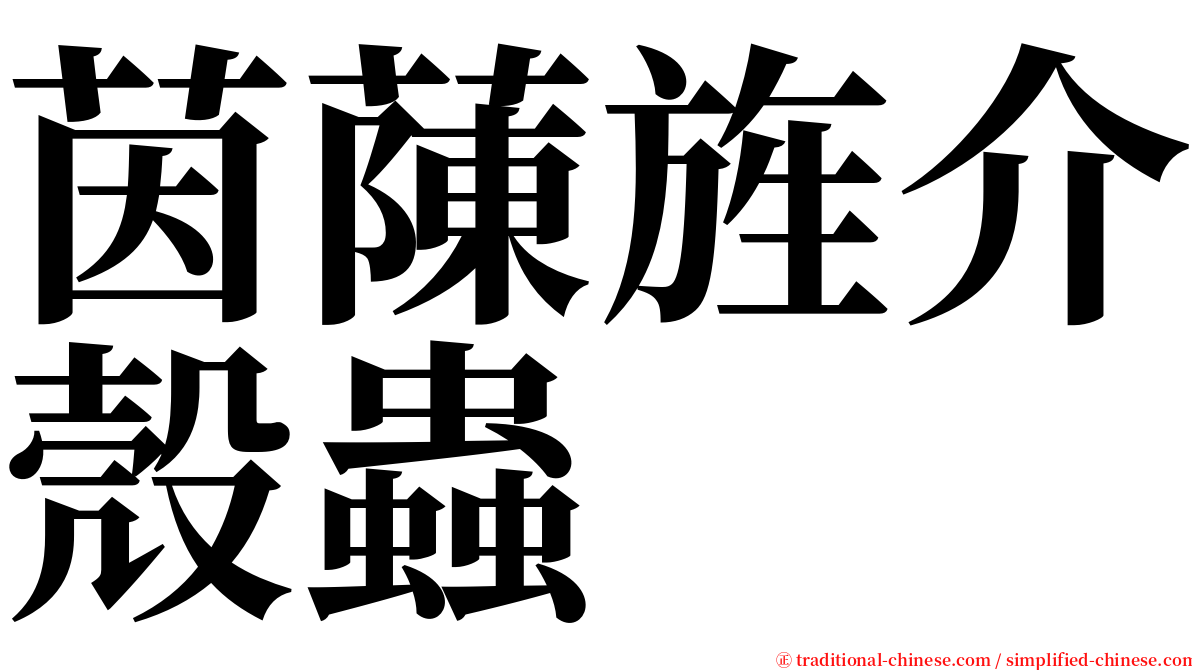 茵蔯旌介殼蟲 serif font