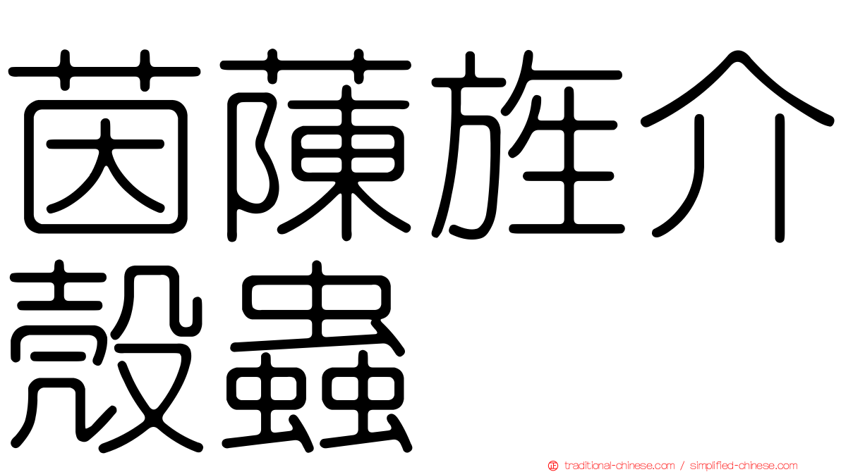 茵蔯旌介殼蟲