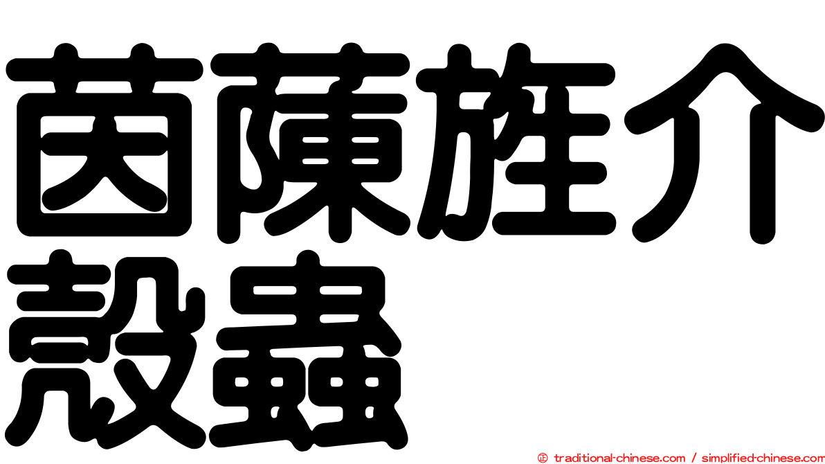 茵蔯旌介殼蟲