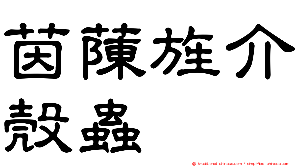 茵蔯旌介殼蟲