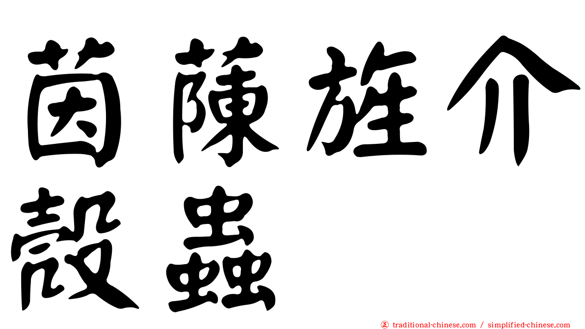 茵蔯旌介殼蟲
