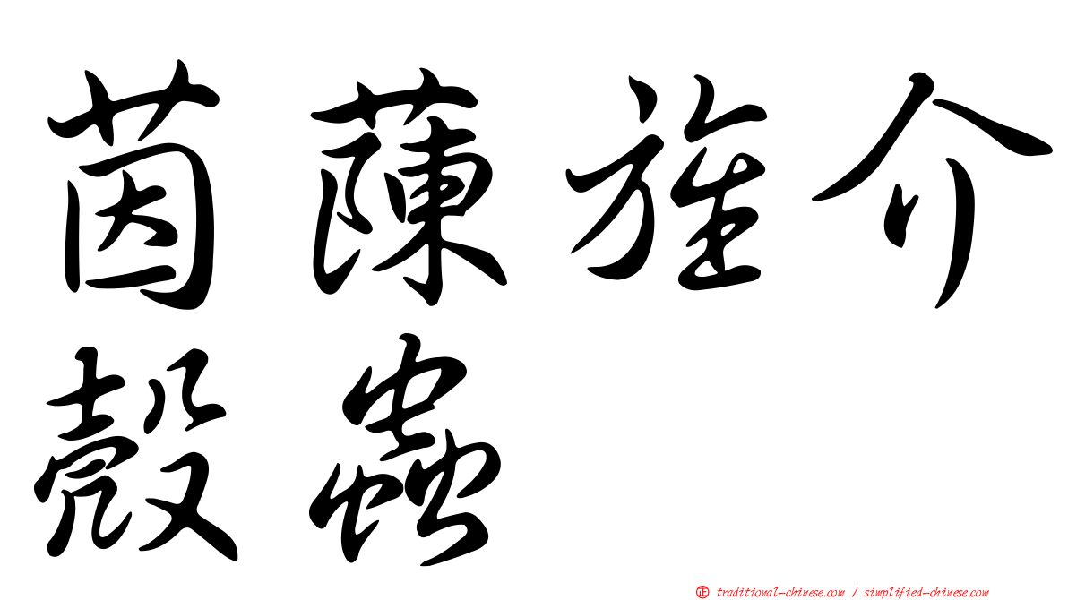 茵蔯旌介殼蟲
