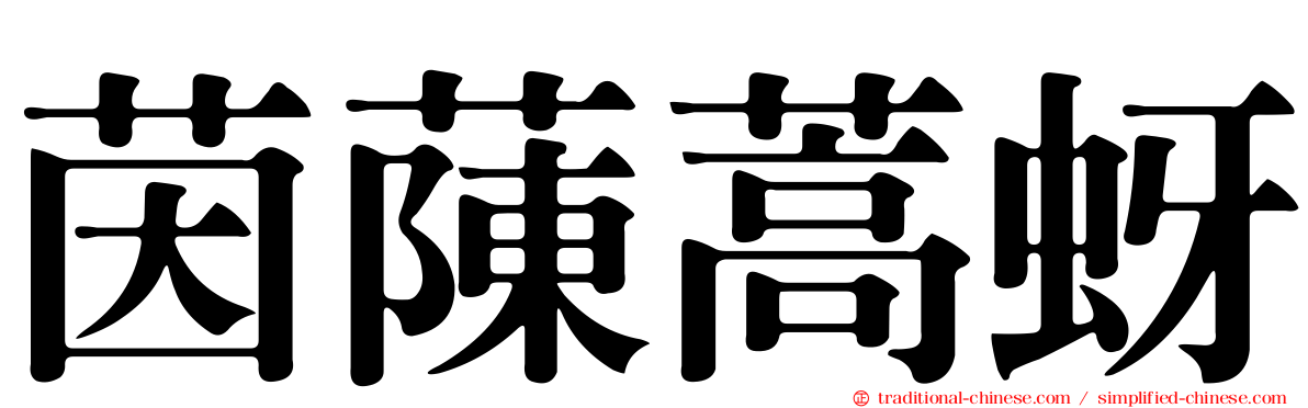 茵蔯蒿蚜