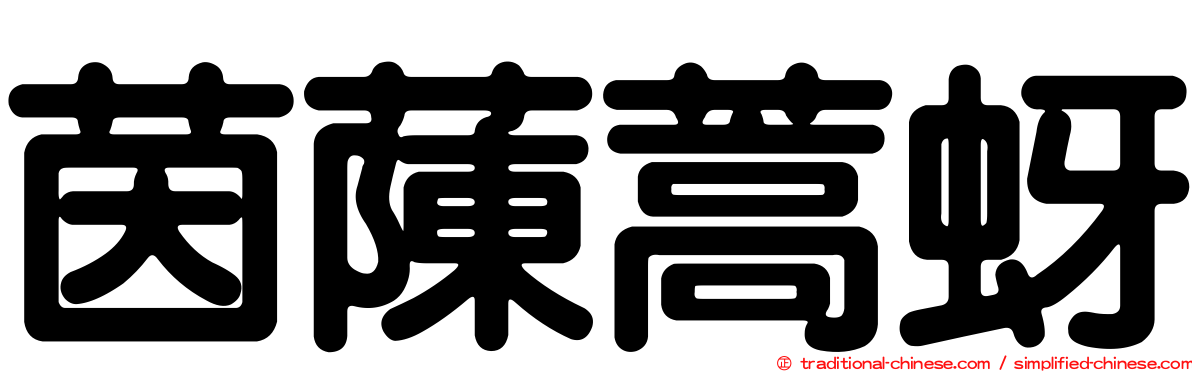 茵蔯蒿蚜