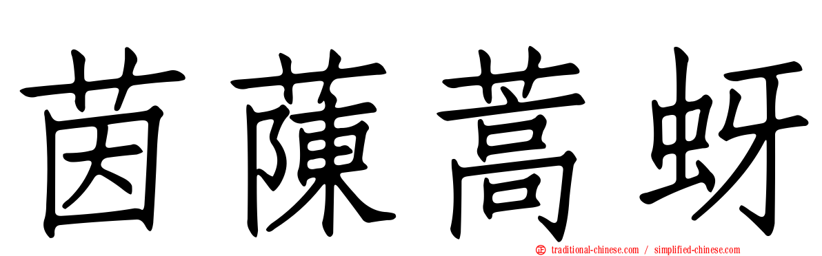 茵蔯蒿蚜