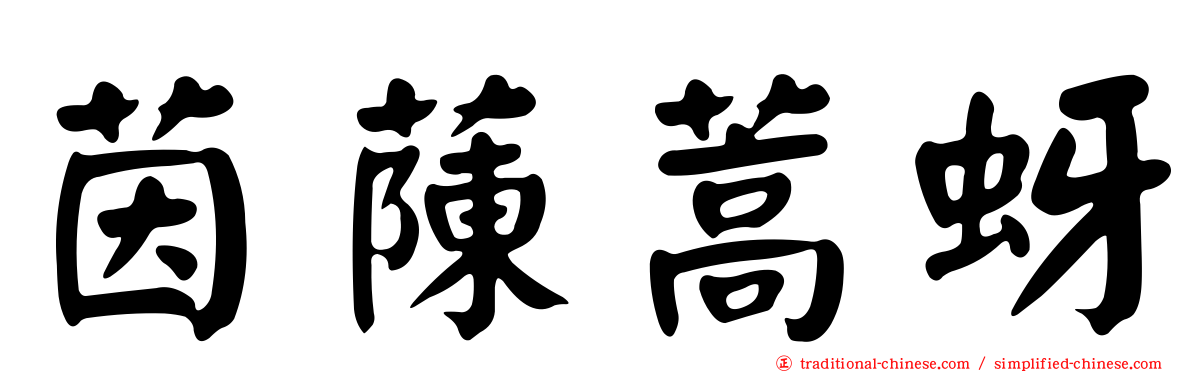 茵蔯蒿蚜