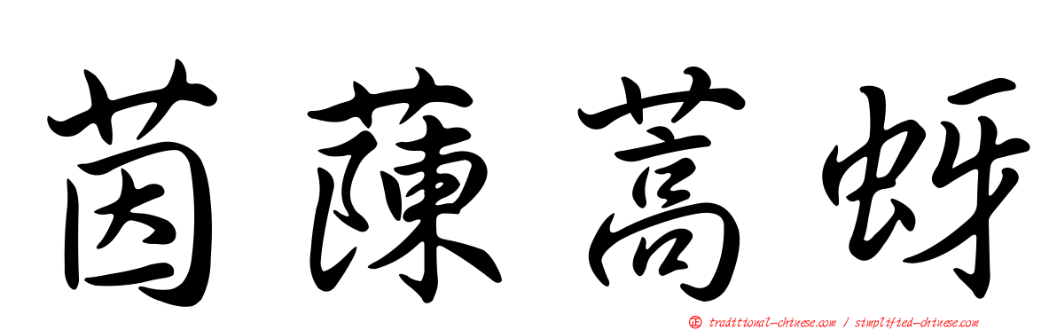 茵蔯蒿蚜