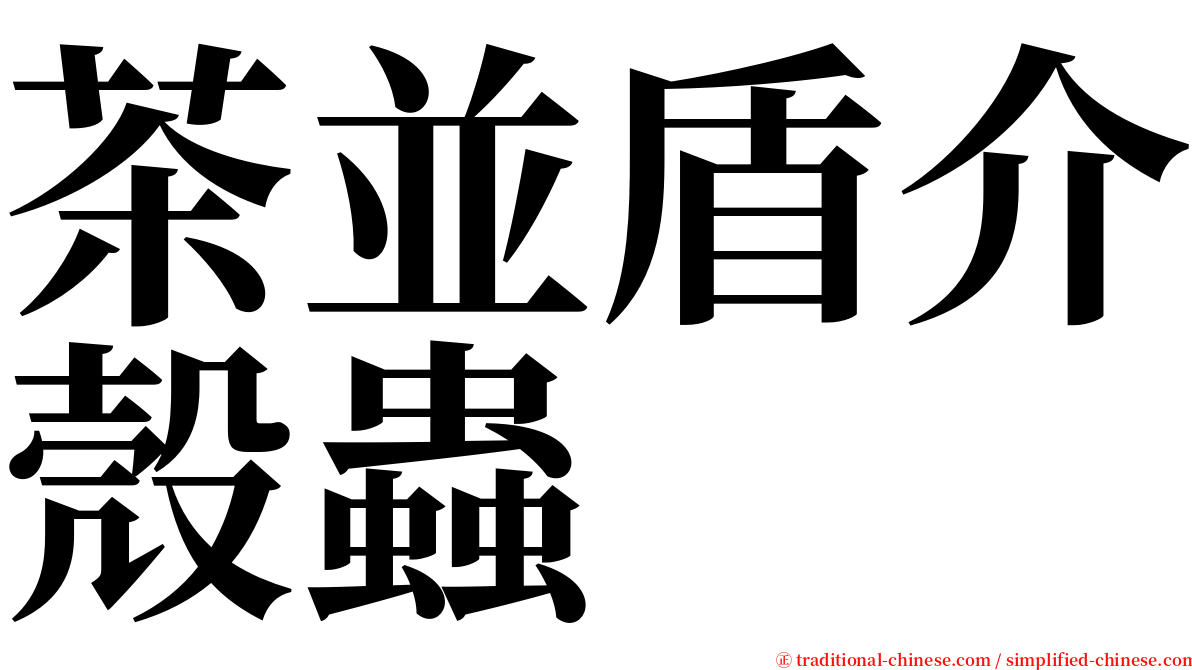 茶並盾介殼蟲 serif font