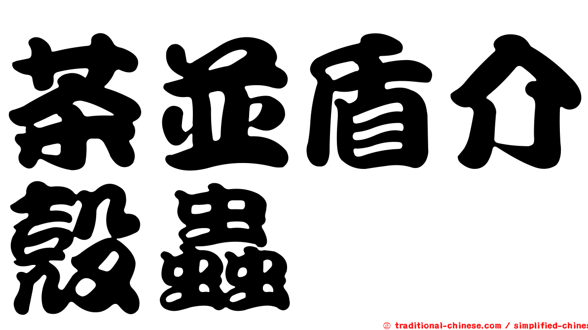 茶並盾介殼蟲