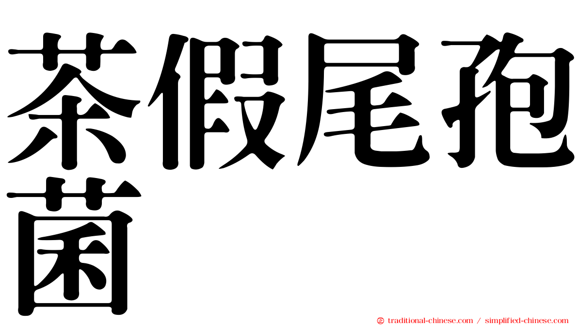 茶假尾孢菌