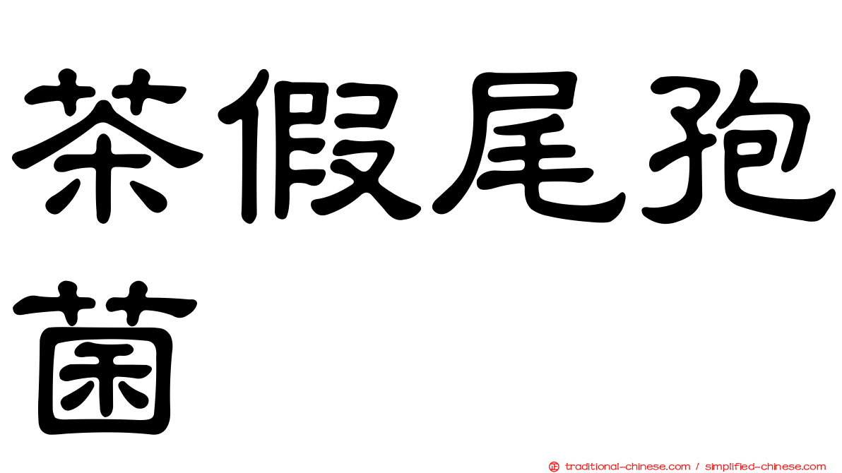 茶假尾孢菌