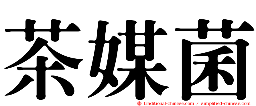 茶媒菌