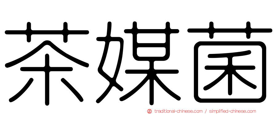 茶媒菌