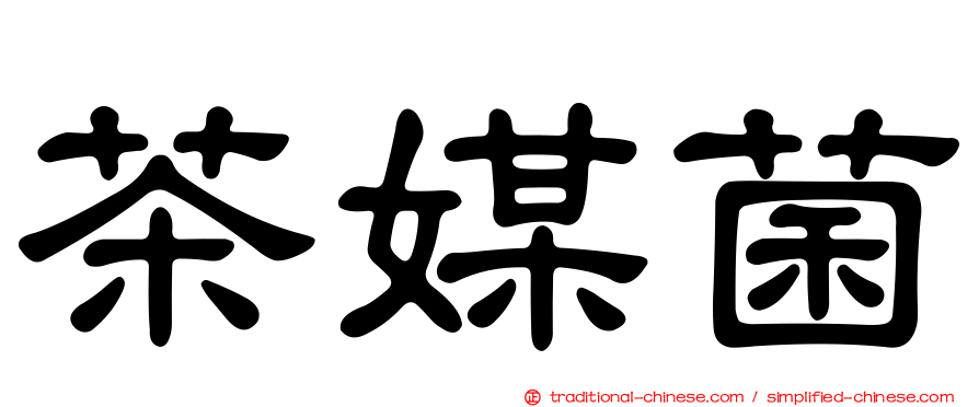 茶媒菌