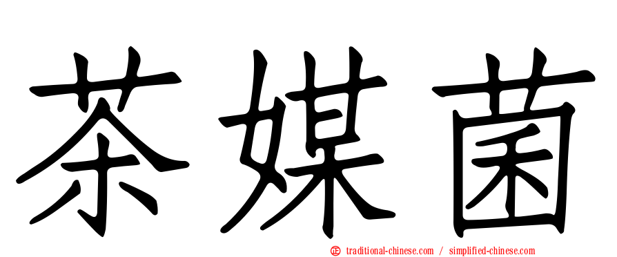 茶媒菌