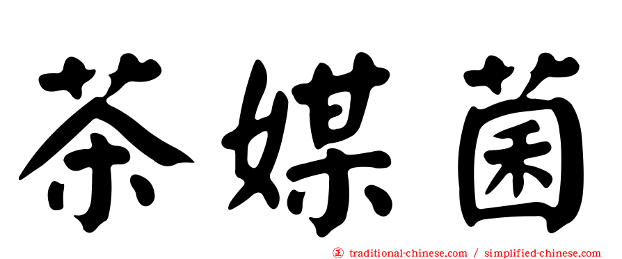 茶媒菌