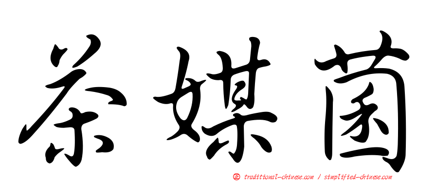 茶媒菌
