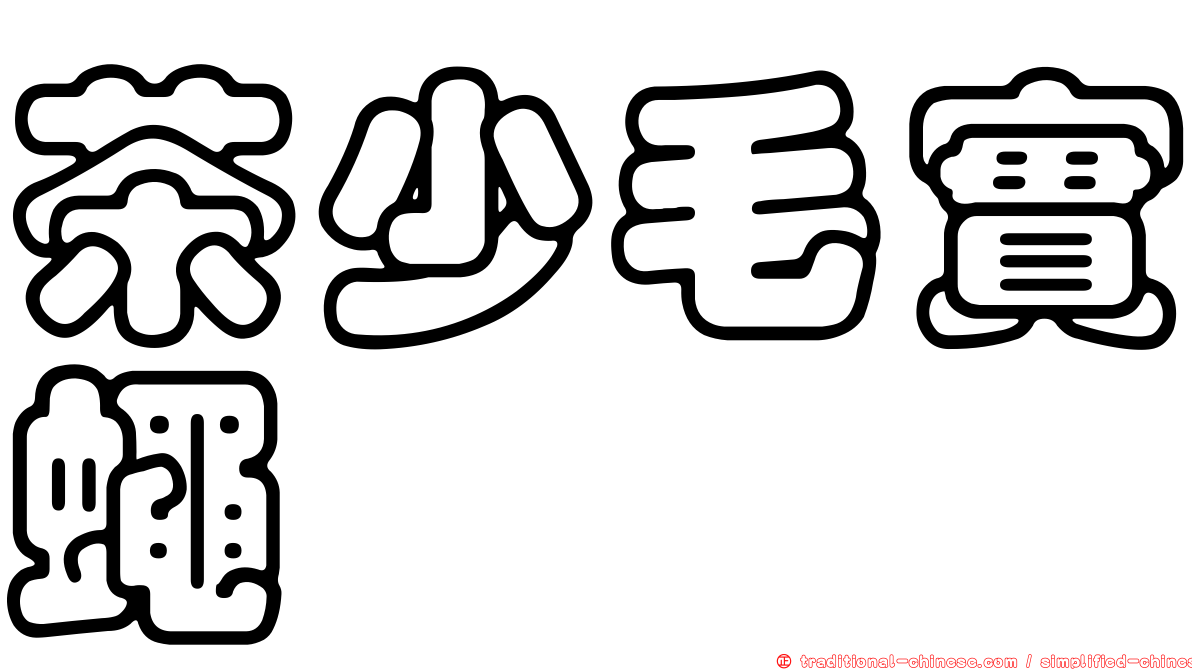茶少毛實蠅