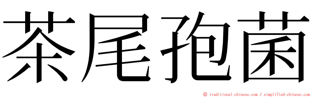 茶尾孢菌 ming font