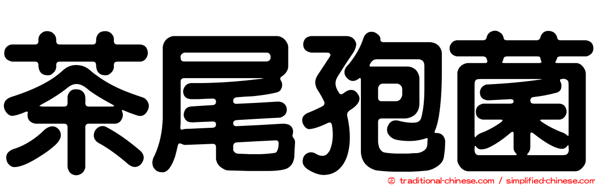 茶尾孢菌
