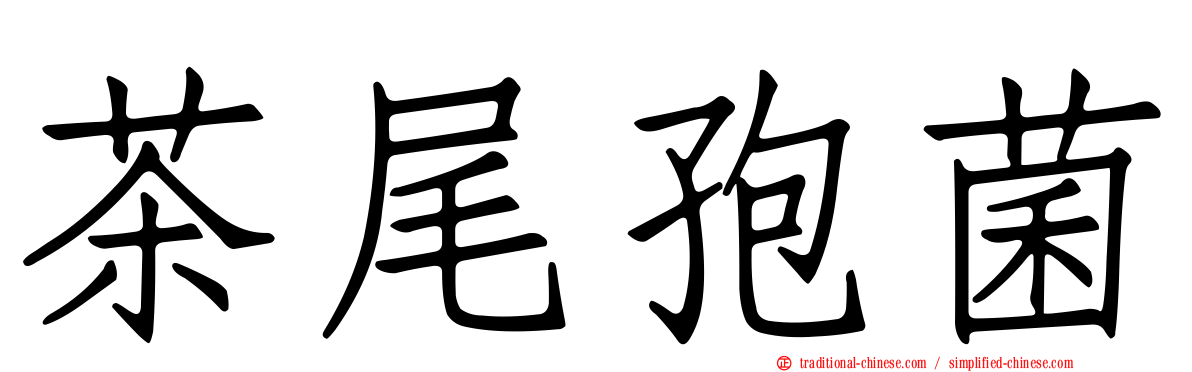 茶尾孢菌