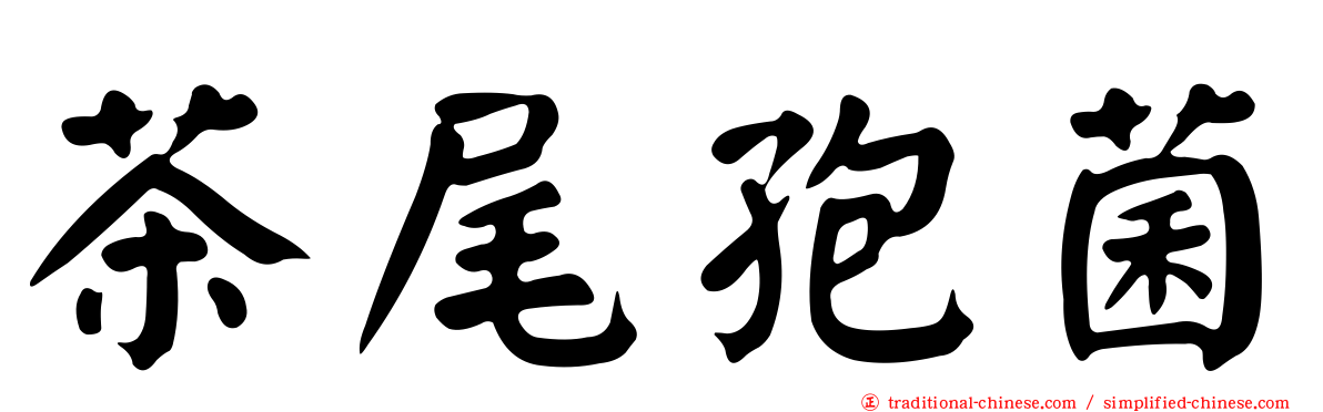 茶尾孢菌