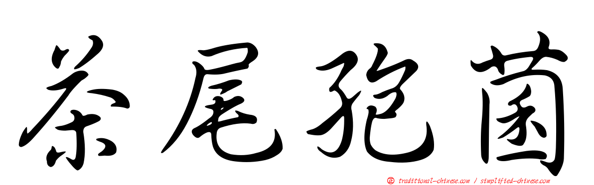 茶尾孢菌