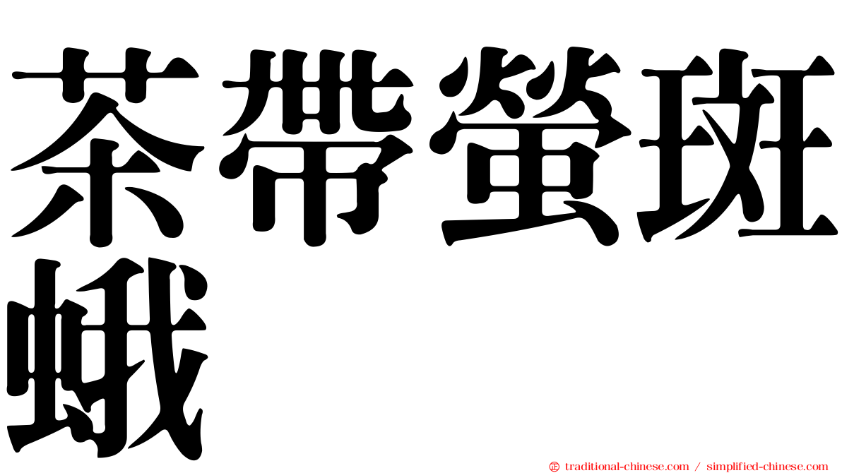 茶帶螢斑蛾