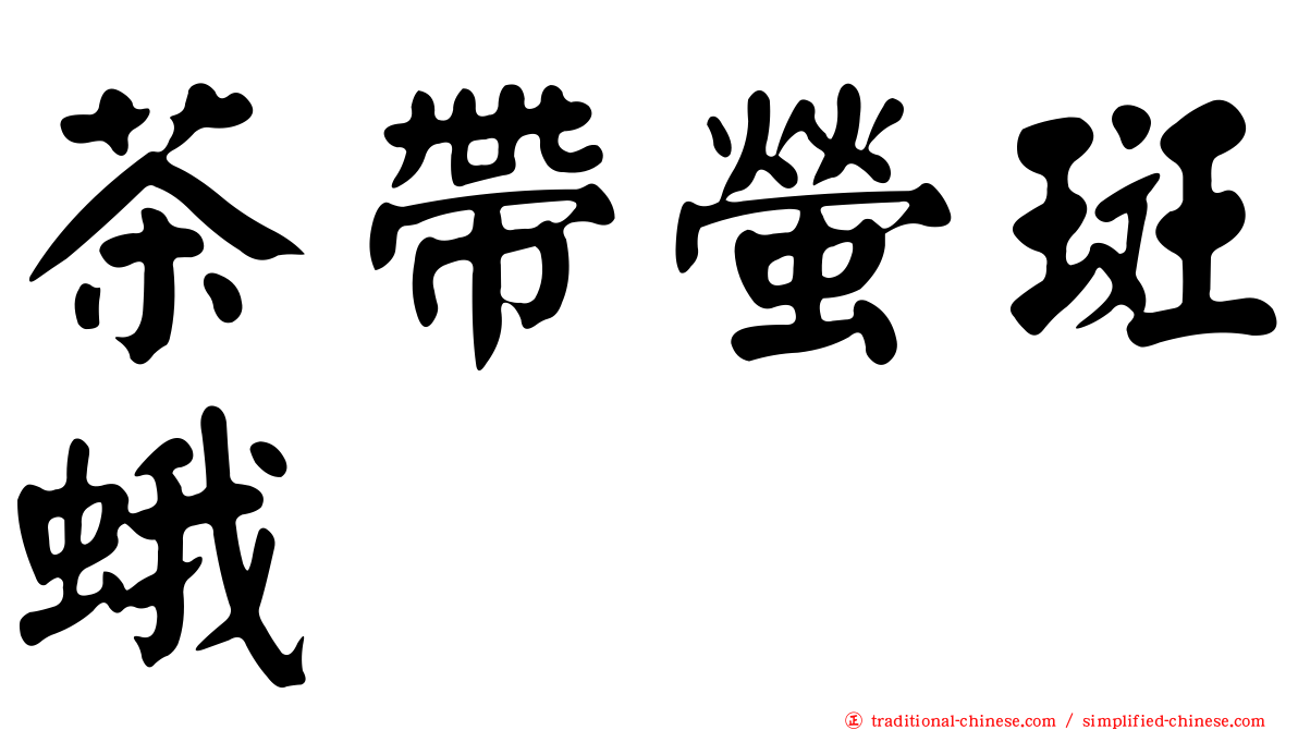 茶帶螢斑蛾